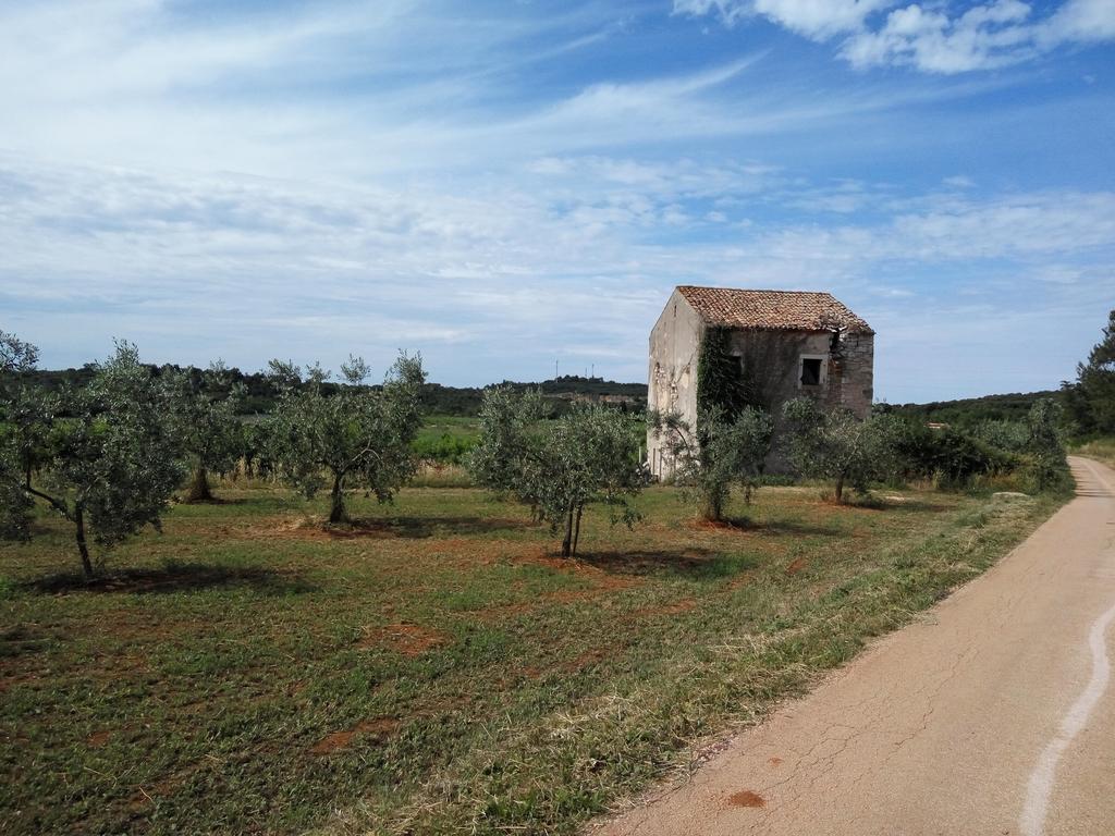 Apartment Asparagus Rovinjsko Selo Dış mekan fotoğraf