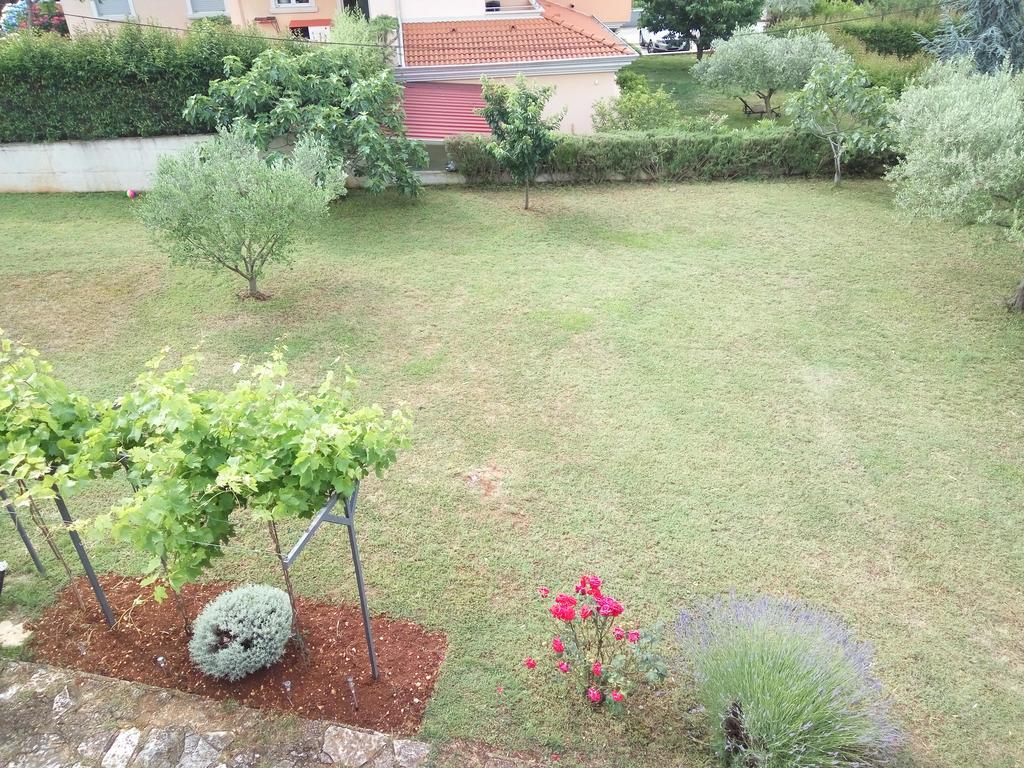 Apartment Asparagus Rovinjsko Selo Dış mekan fotoğraf